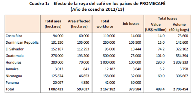 Hectáreas de cultivo de café afectadas por la Roya en América Latina - Fuente OIC